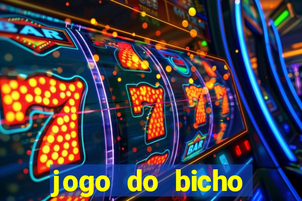 jogo do bicho crash bingo